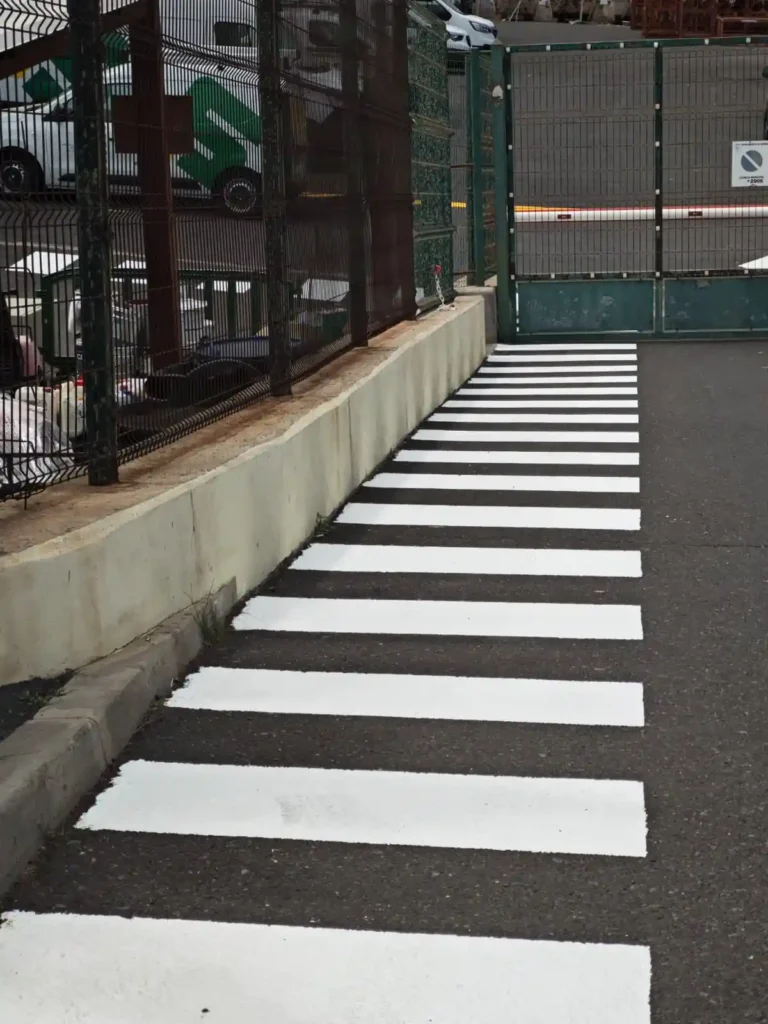 paso de cebra pintado
